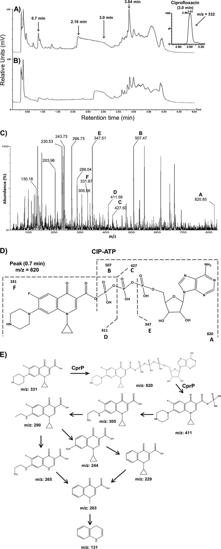 FIG 4