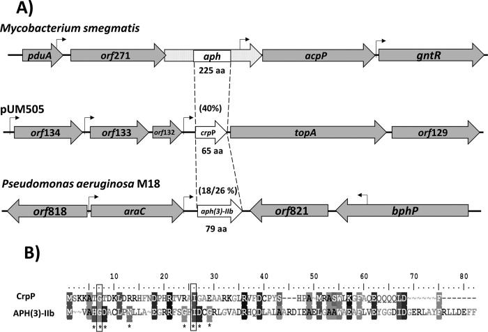 FIG 1