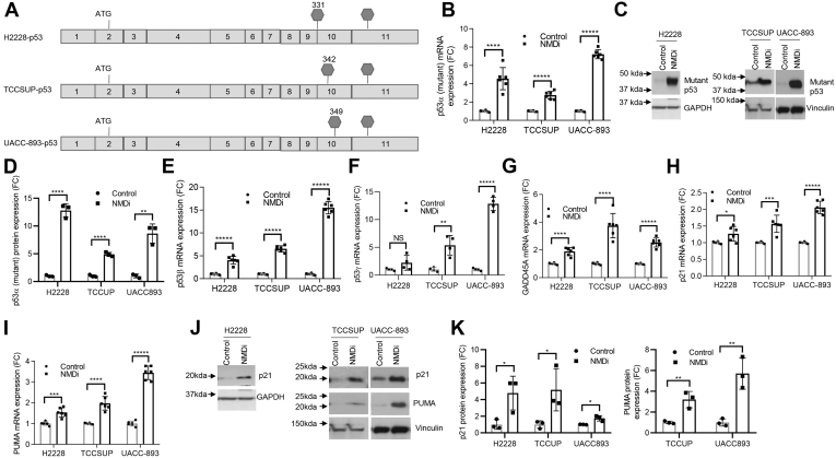 Figure 5