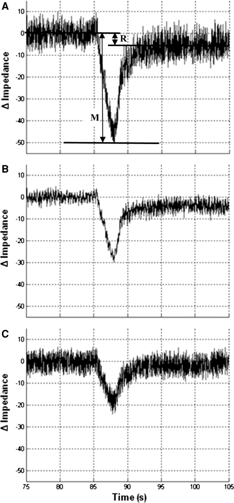 Fig. 1