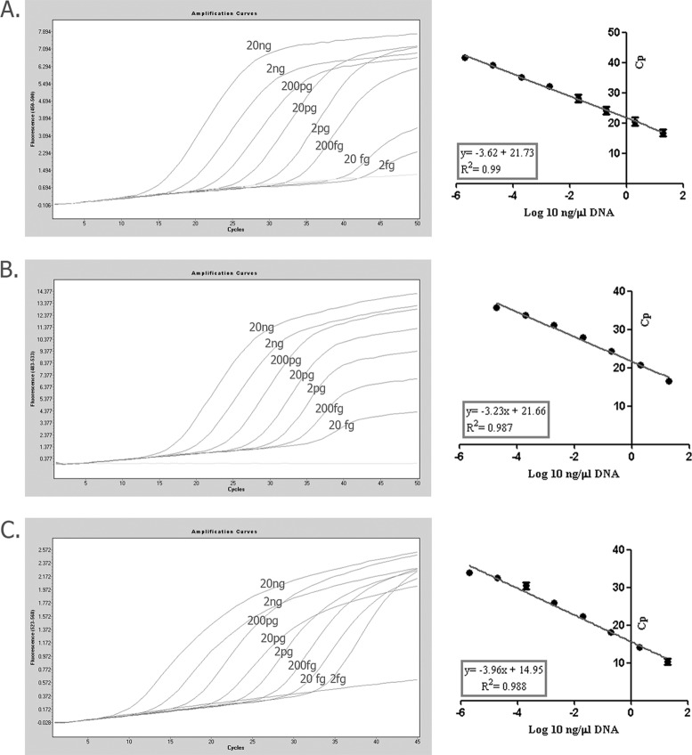 FIG 1