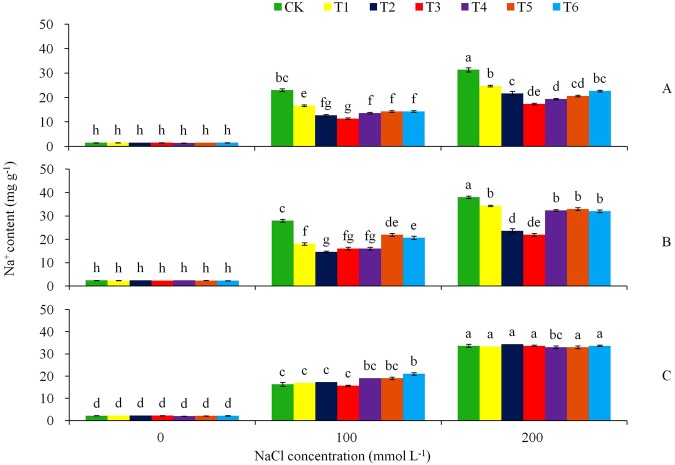 Figure 7