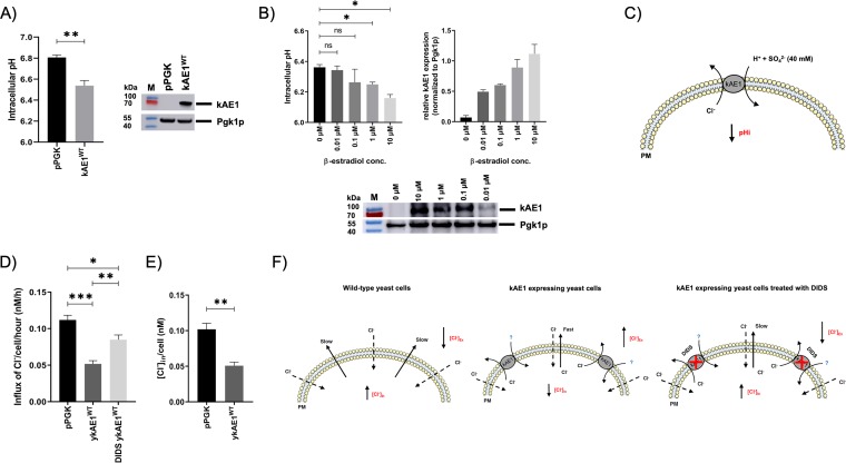 FIG 4