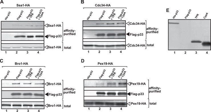 FIG 7