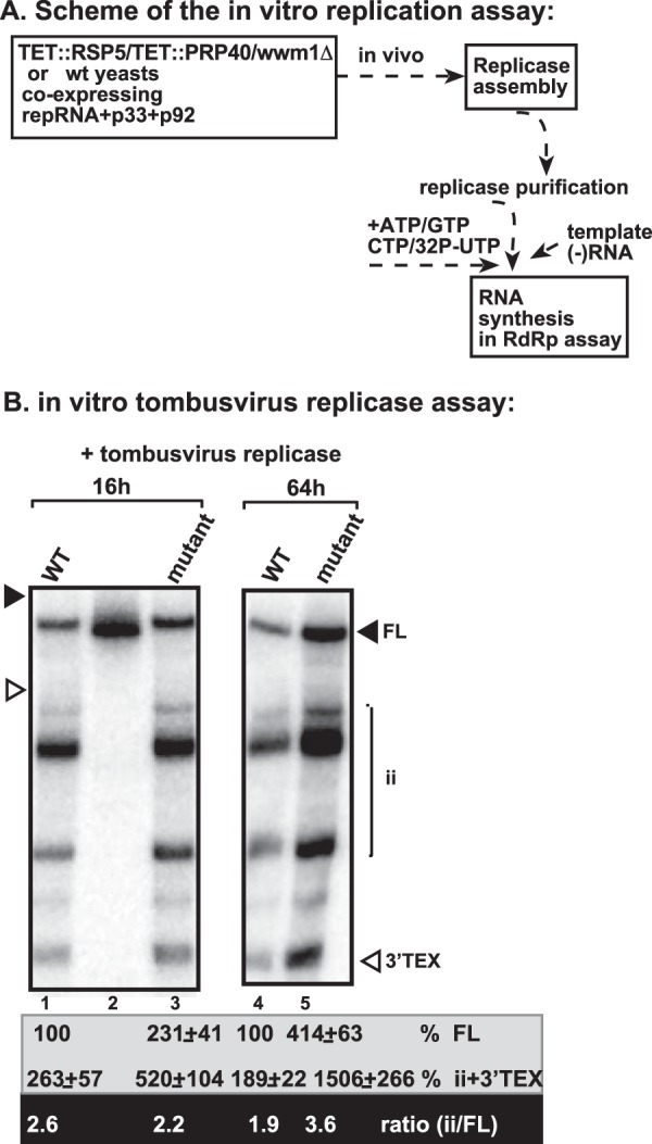 FIG 8