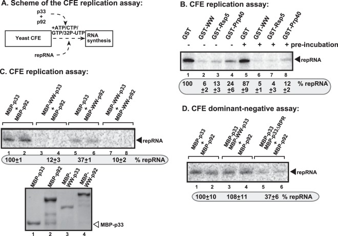 FIG 3