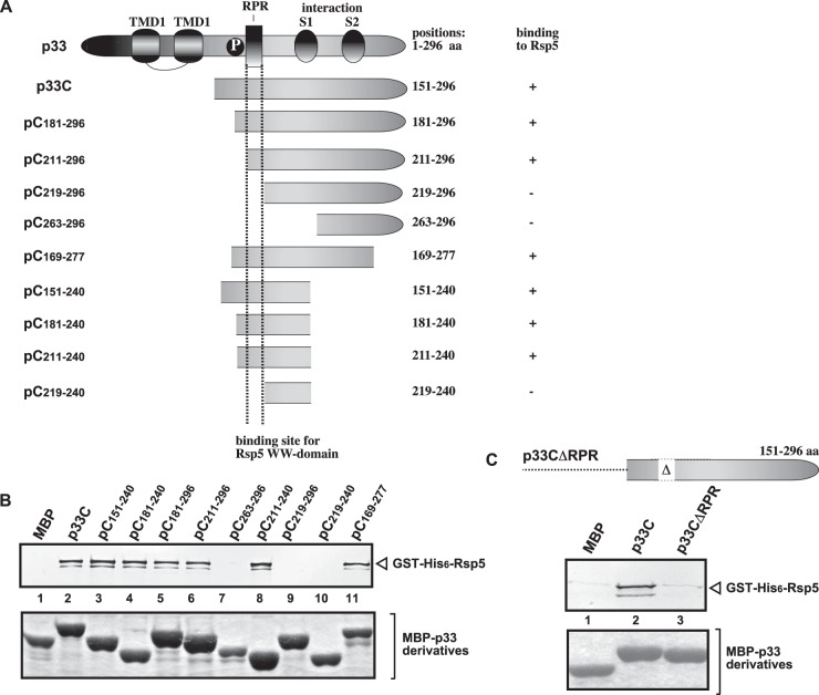 FIG 1