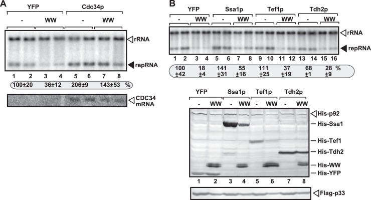 FIG 6