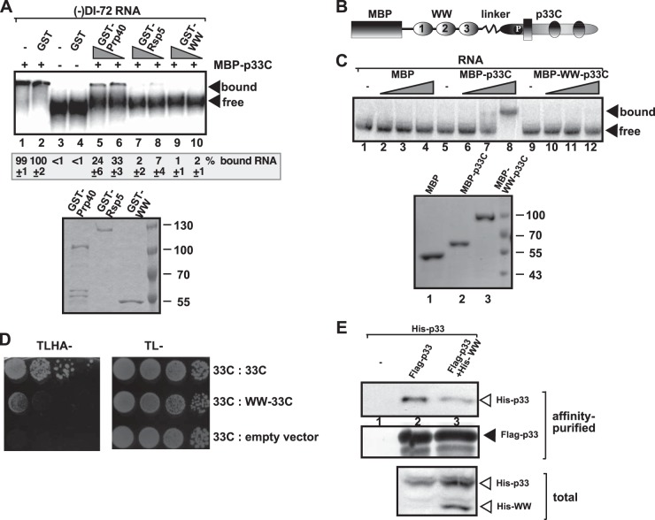 FIG 2