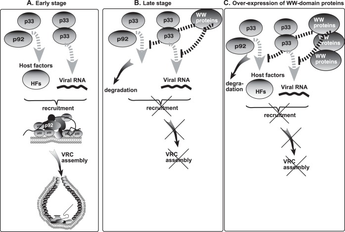 FIG 9