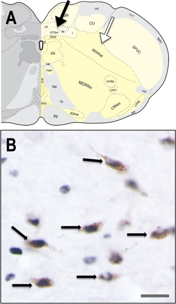 Fig. 3.