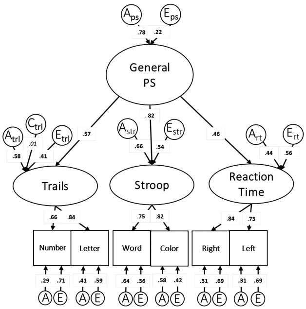 Figure 1: