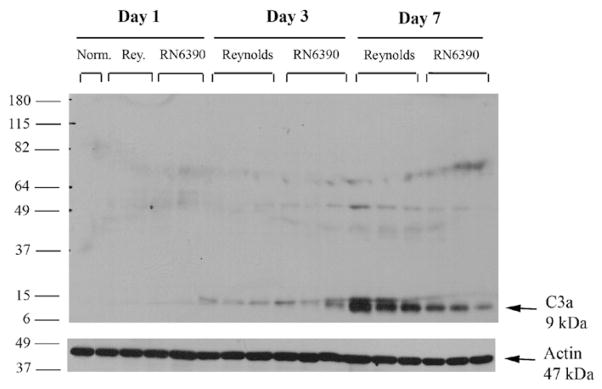 Fig. 8