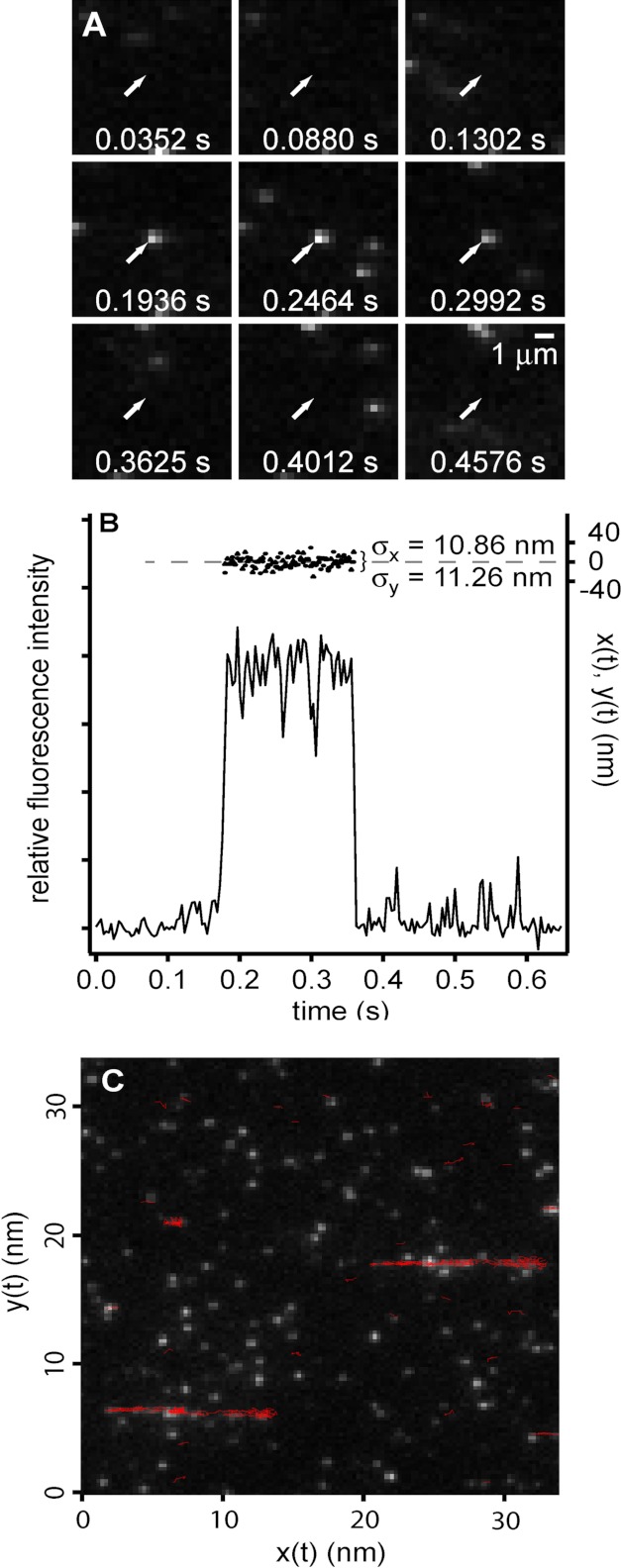 FIGURE 4.