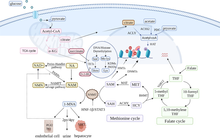 Figure 2