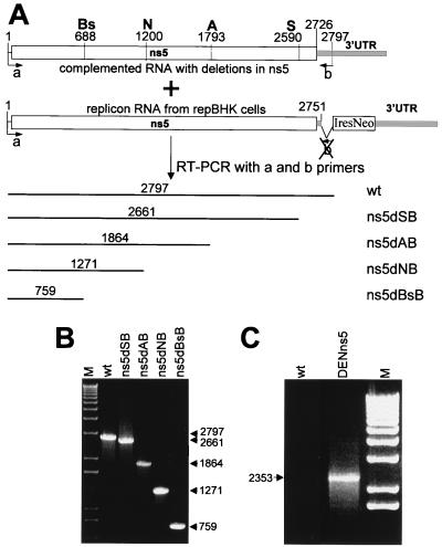 FIG. 4