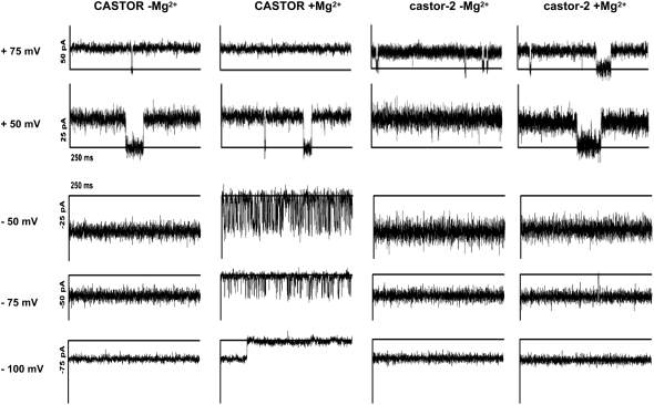 Figure 6.