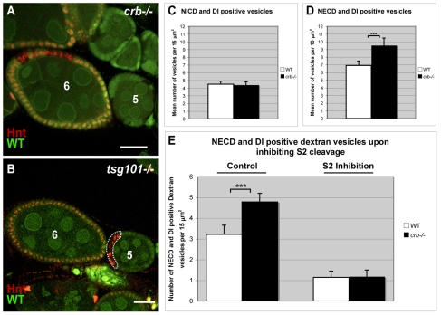 Fig. 6.