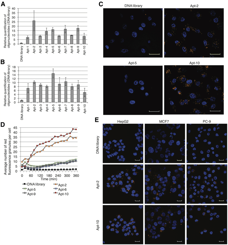 Figure 2