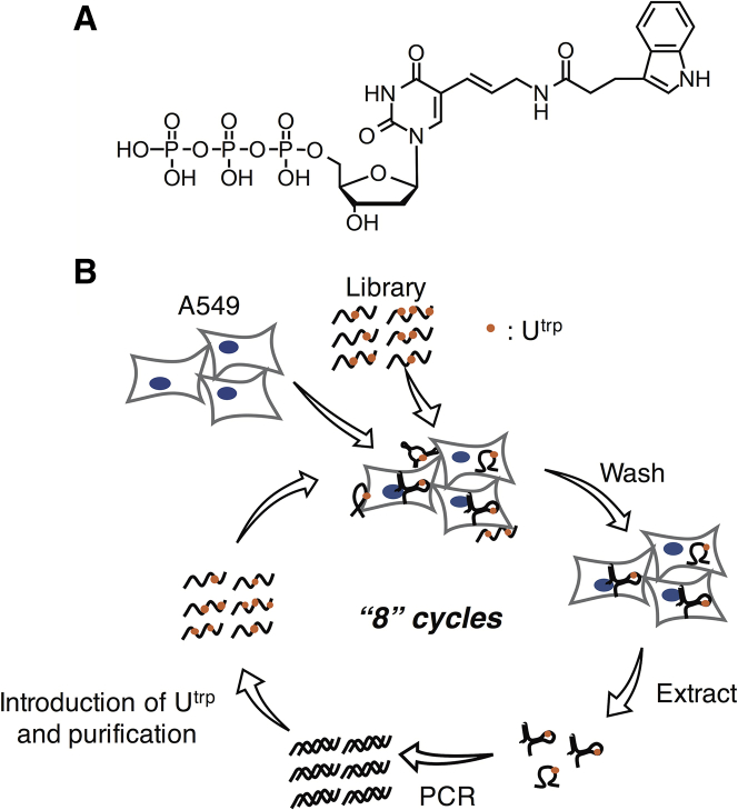 Figure 1