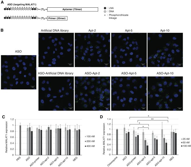 Figure 4