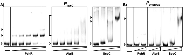 Fig. 5: