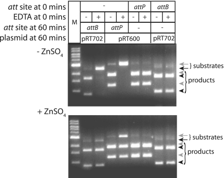 Figure 7.