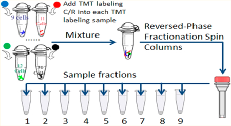 graphic file with name nihms-1014574-f0001.jpg