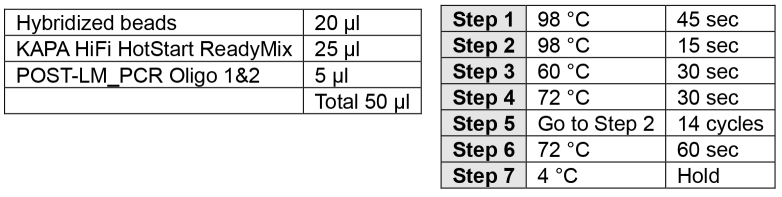 graphic file with name BioProtoc-7-23-2645-t002.jpg