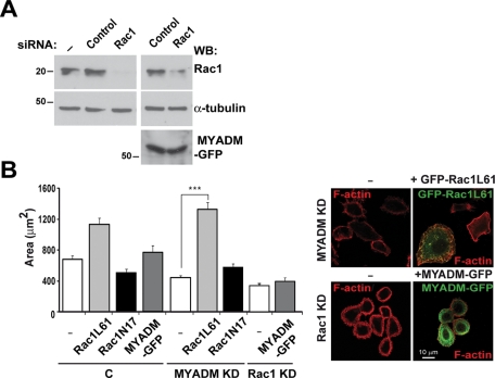 FIGURE 6: