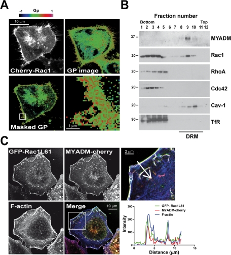 FIGURE 4: