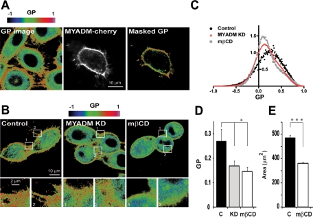 FIGURE 3: