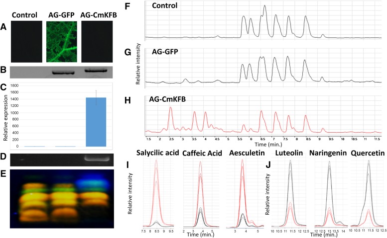 Figure 6.