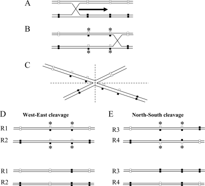 FIG. 4.