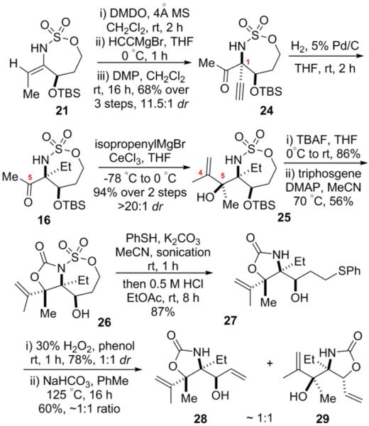 Scheme 6