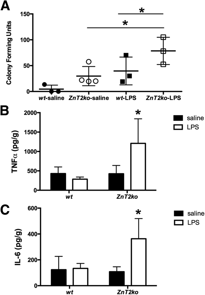 Figure 10