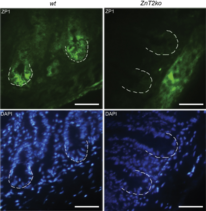 Figure 6