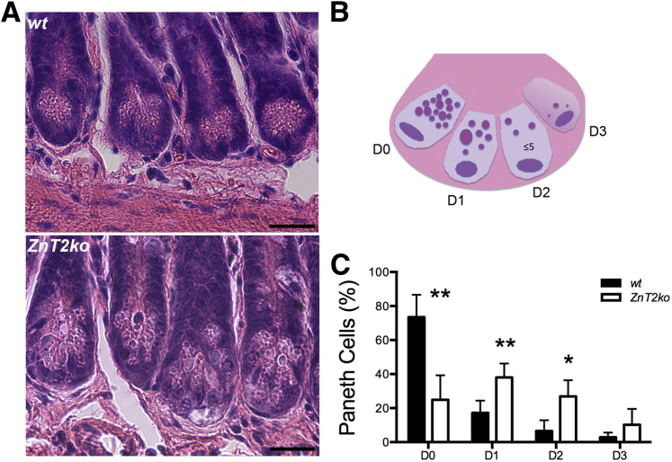 Figure 4