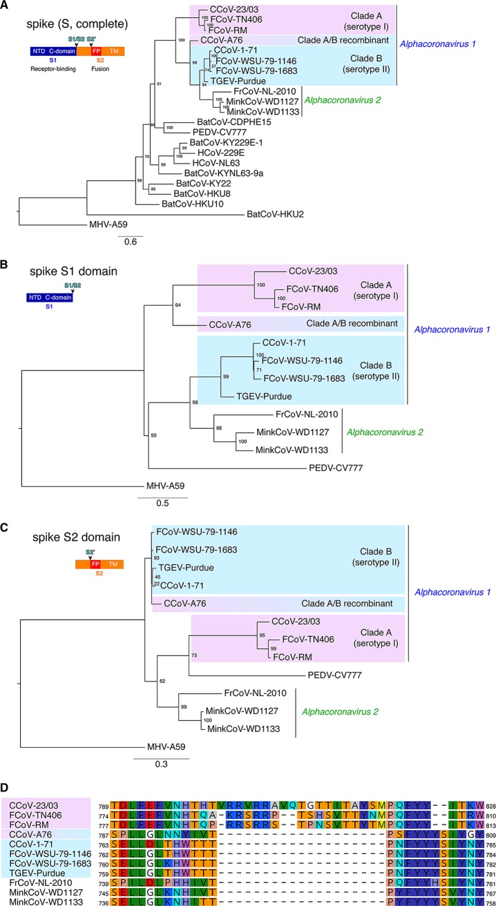 FIG 2 