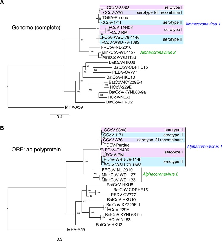 FIG 1 