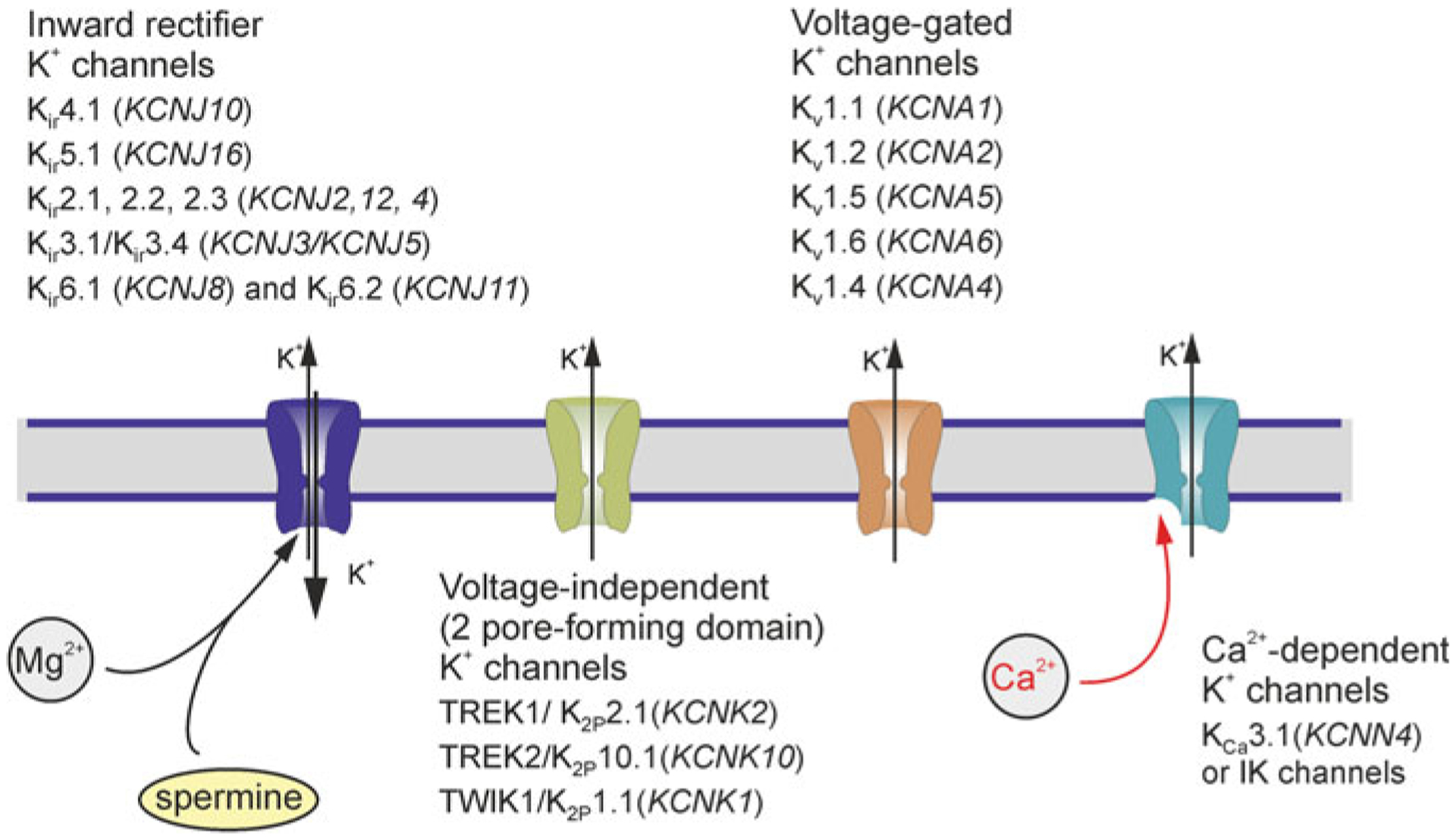 Fig. 3.3