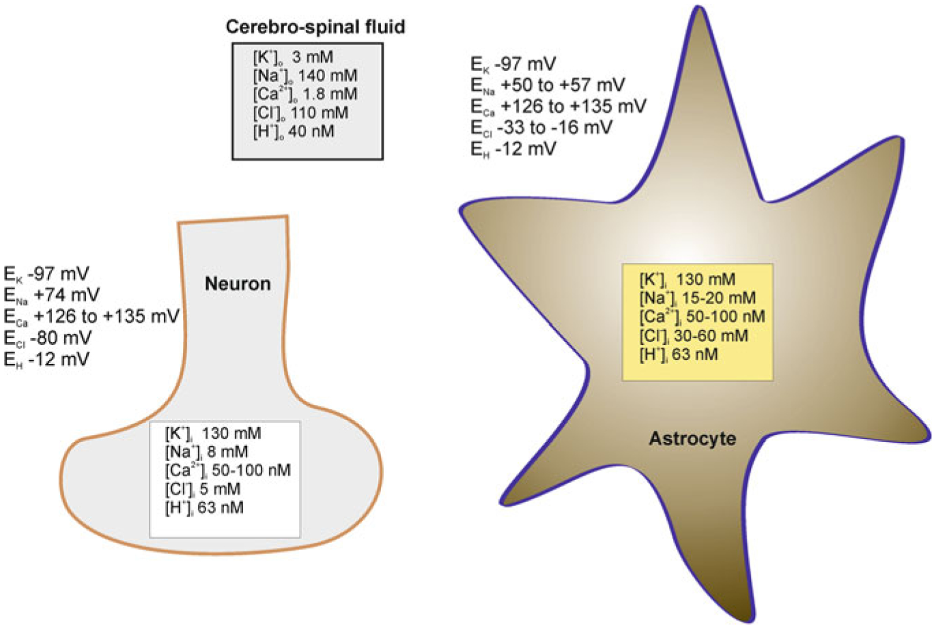 Fig. 3.2