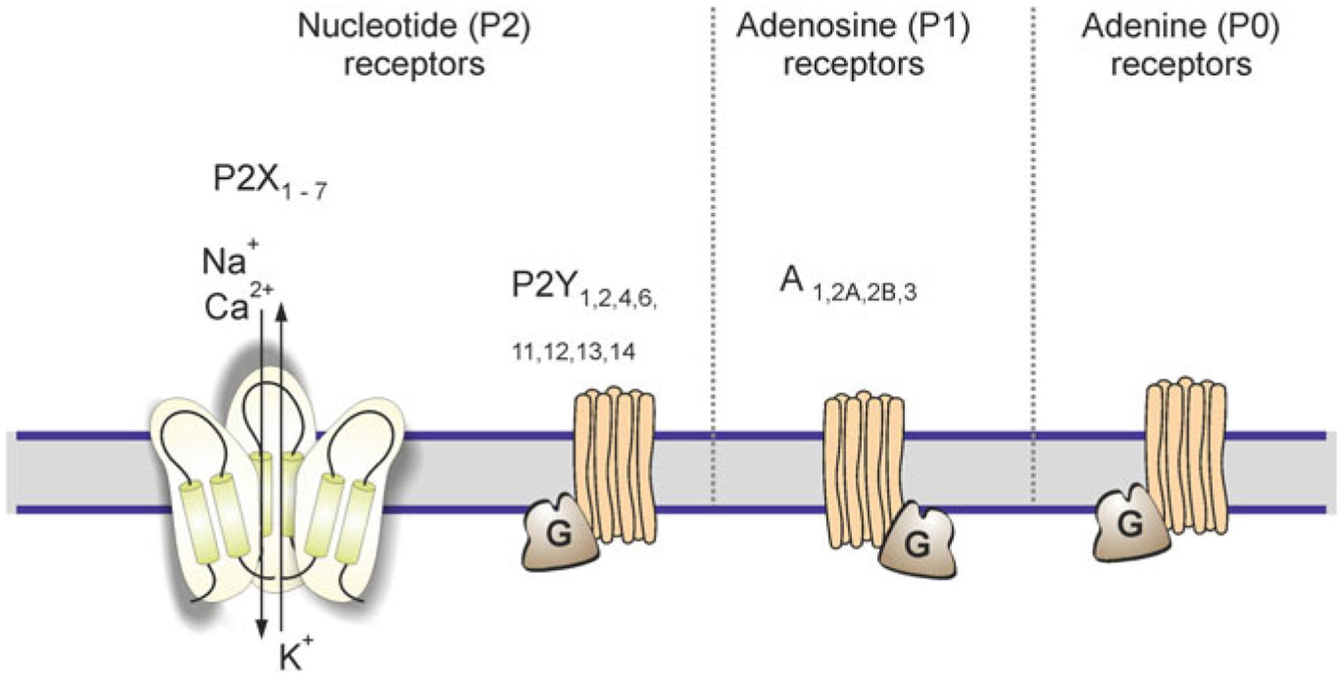 Fig. 3.6