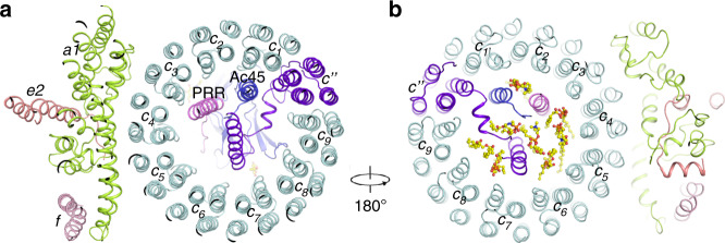 Fig. 3