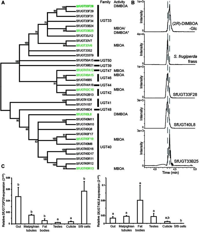 FIGURE 3