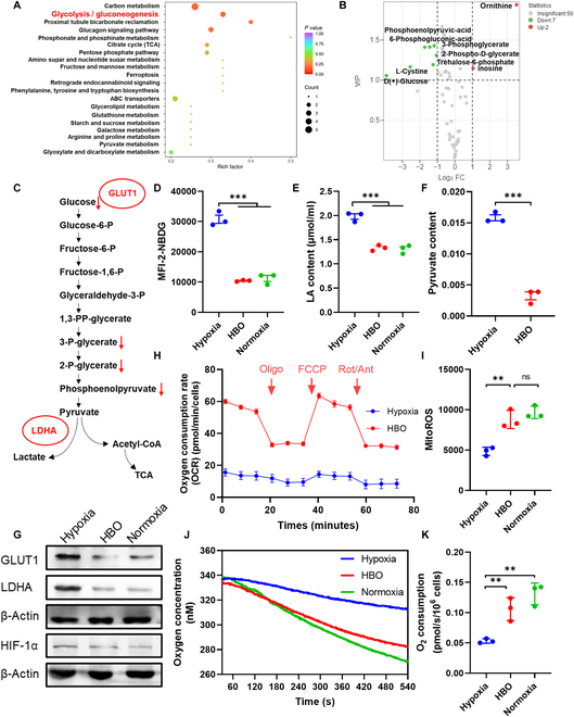 Fig. 4.