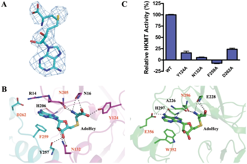 Figure 3.