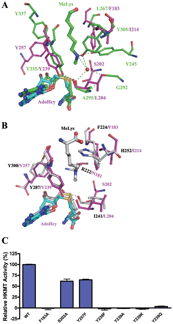 Figure 4.