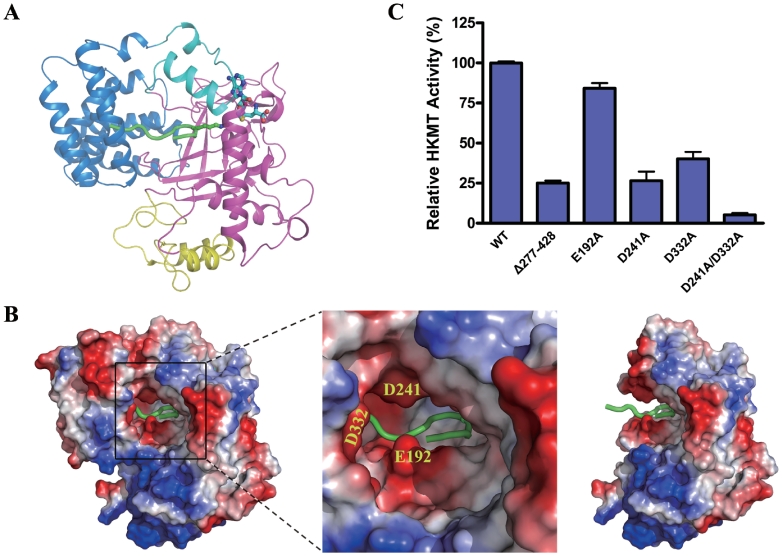 Figure 2.