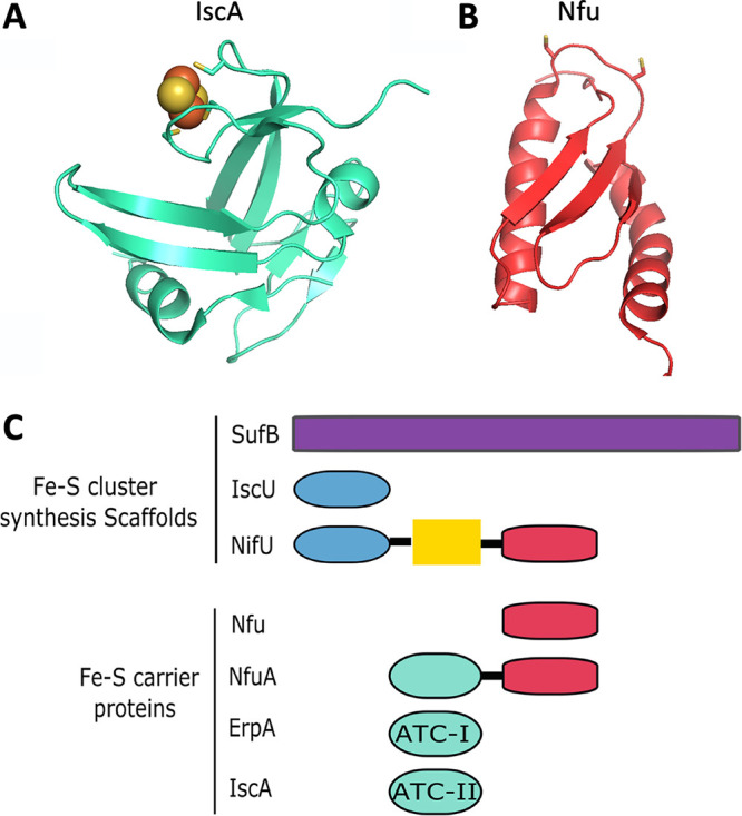 FIG 3